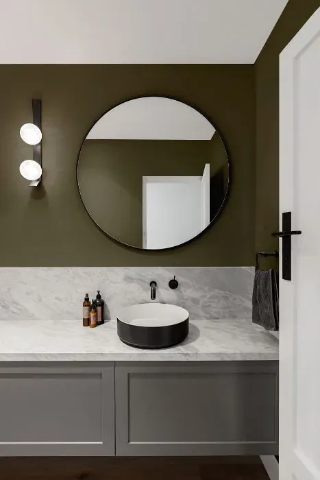 Sherwin Williams Eclipse minimalist bathroom