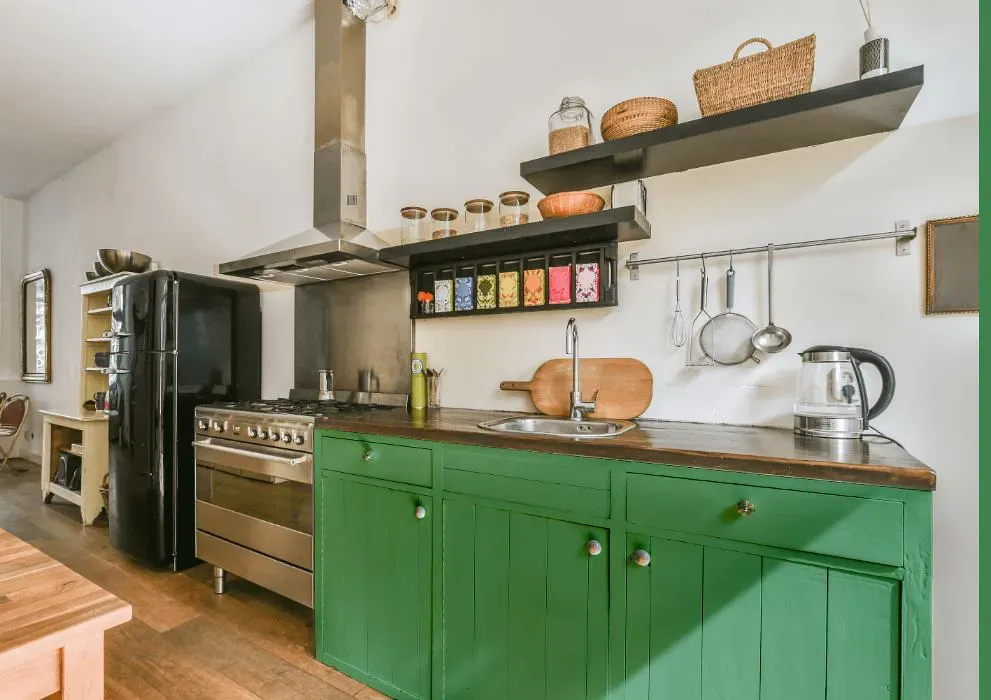 Sherwin Williams Eco Green kitchen cabinets