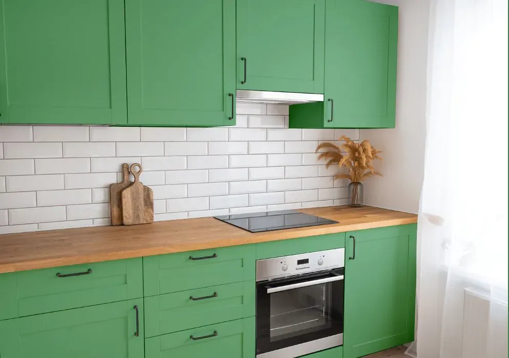 Sherwin Williams Eco Green kitchen cabinets