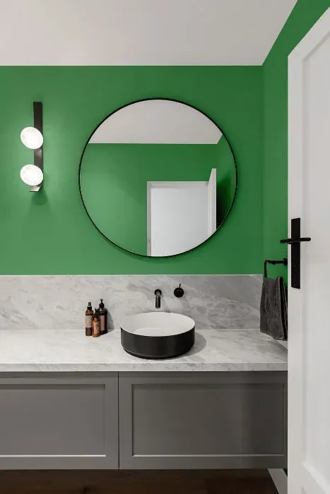 Sherwin Williams Eco Green minimalist bathroom