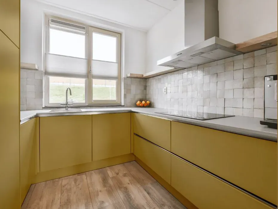 Sherwin Williams Edgy Gold small kitchen cabinets