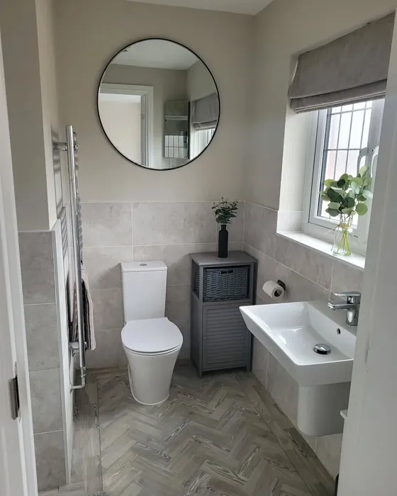 Dulux 40YY 65/061 bathroom paint