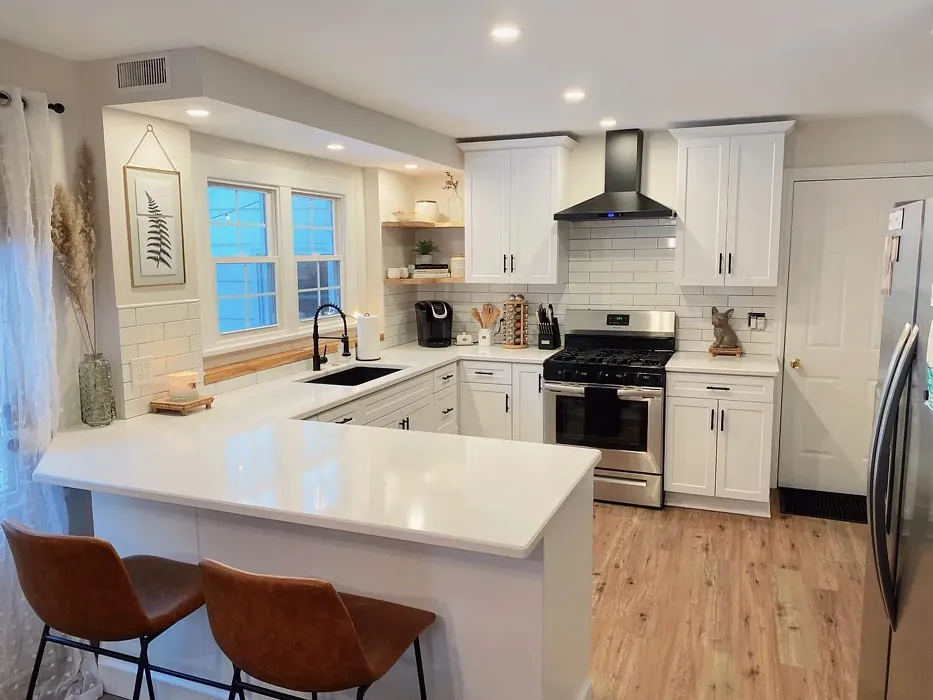 SW 7014 kitchen cabinets color review