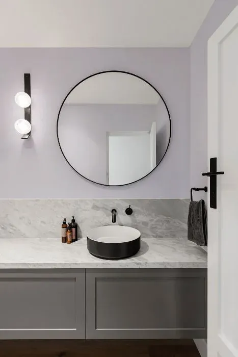 Sherwin Williams Elation minimalist bathroom