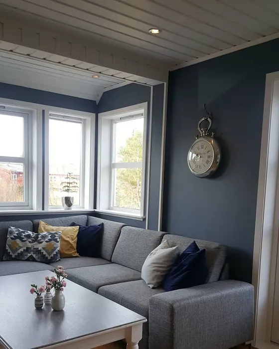 Jotun Elegant Blue living room paint review