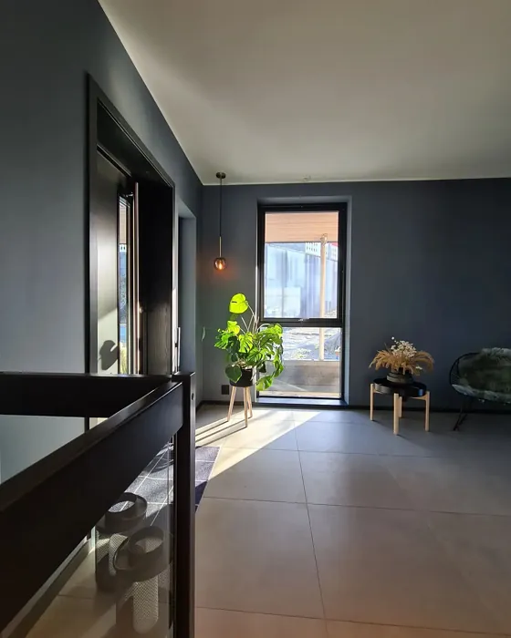 Jotun Elegant Blue living room color