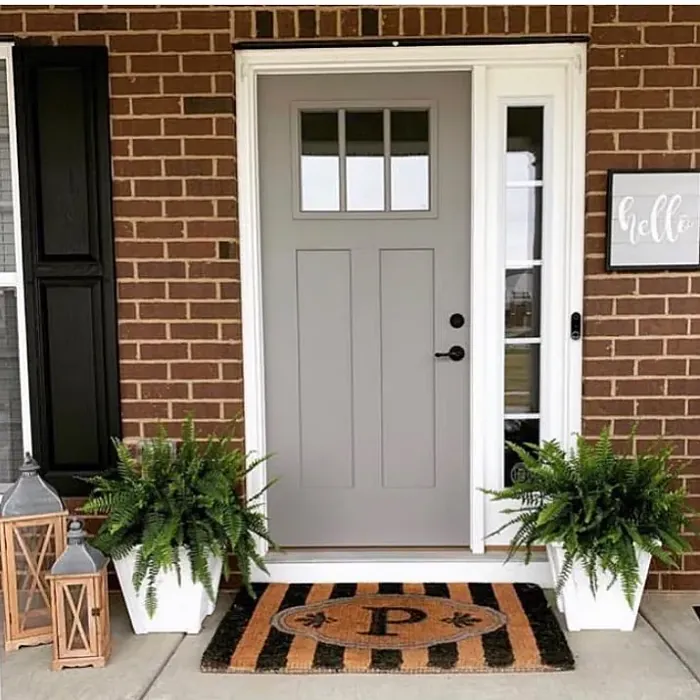 SW Elephant Ear front door 