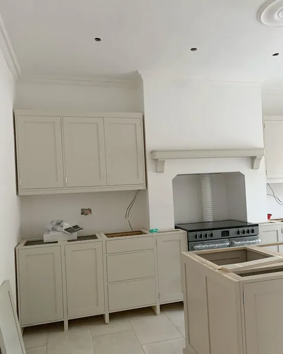 Elephant's Breath kitchen cabinets color review