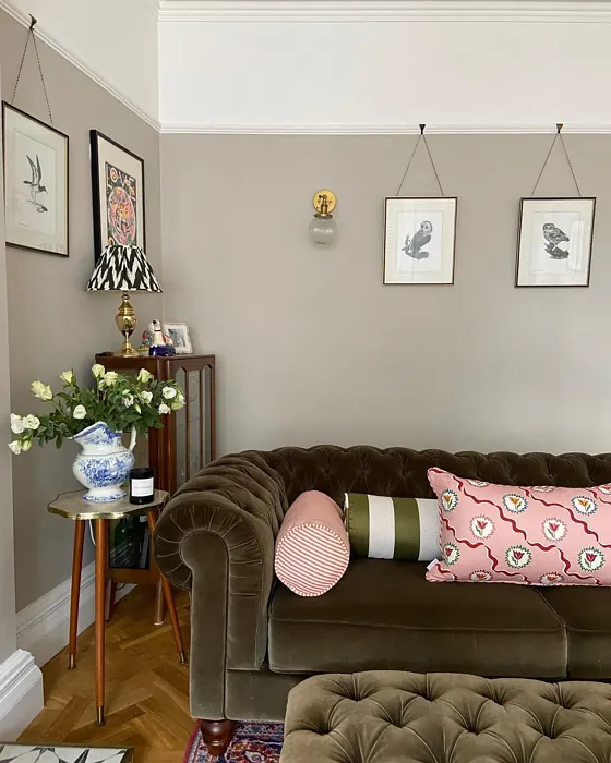 Elephant's Breath living room interior idea