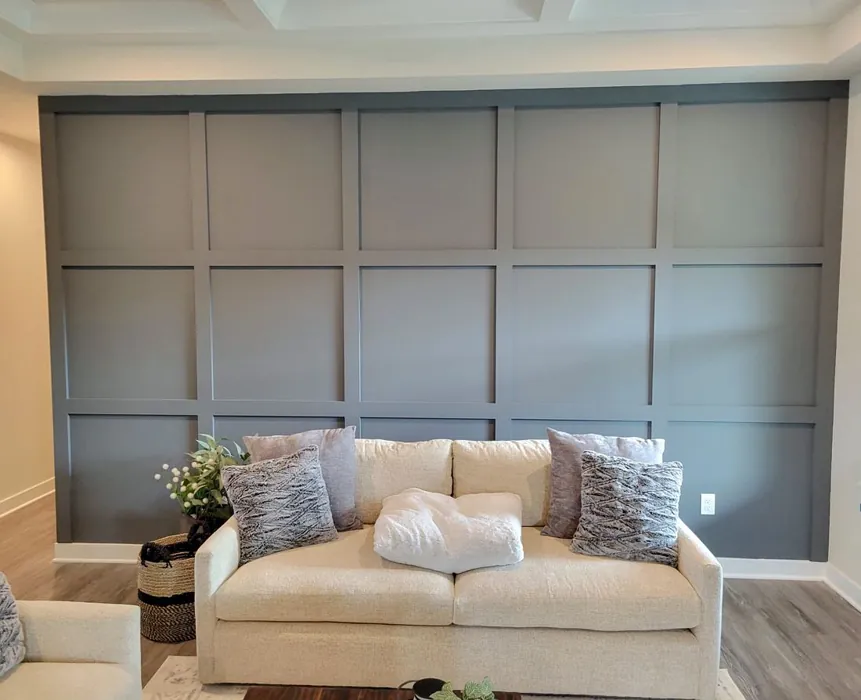 Sherwin Williams Ellie Gray Accent Wall Panelling