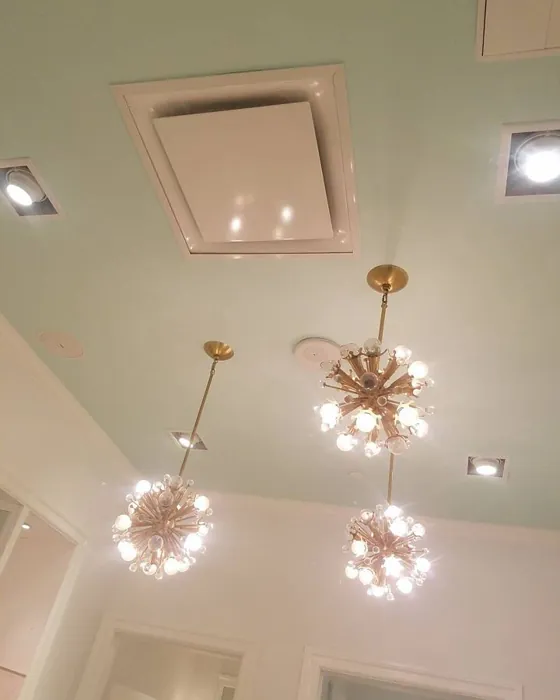 Sherwin Williams Embellished Blue Ceiling