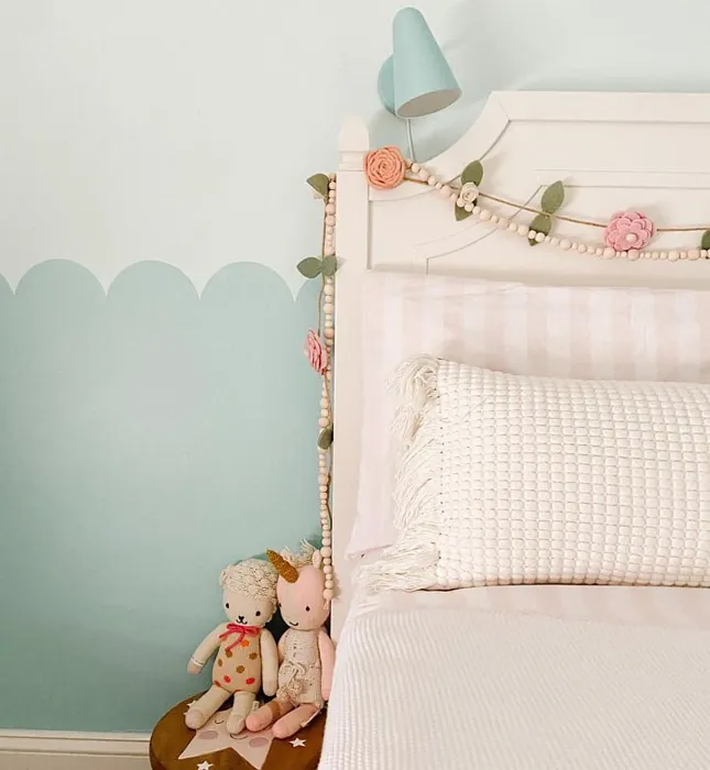 Sherwin Williams Embellished Blue Kids' Room