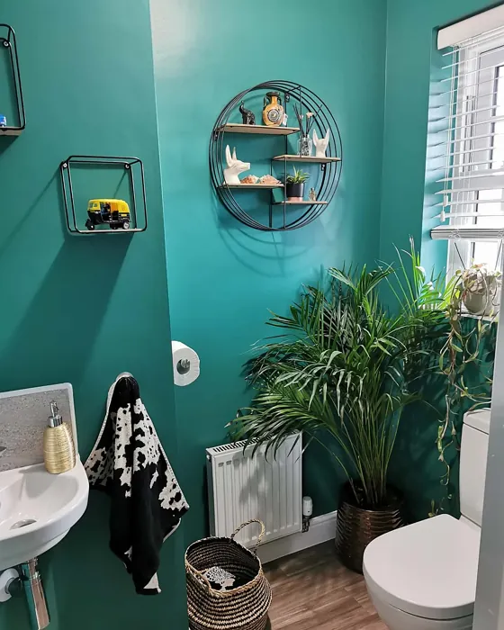 Dulux Emerald Glade bathroom color