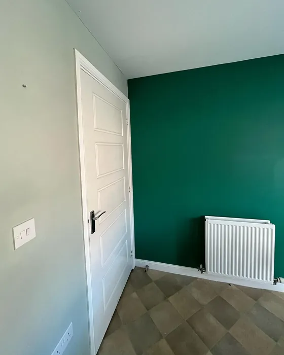 Emerald Glade accent wall color