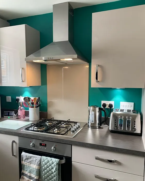 Dulux Emerald Glade kitchen color