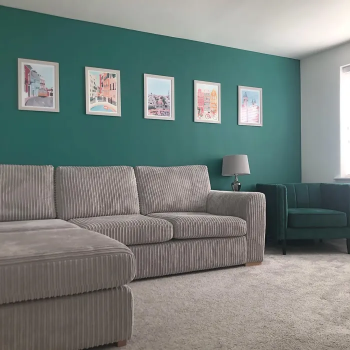 Dulux Emerald Glade living room accent wall