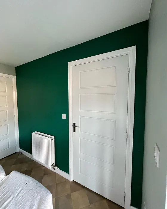 Emerald Glade accent wall color review