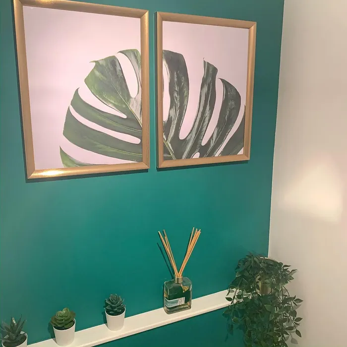 Dulux Emerald Glade bathroom accent wall