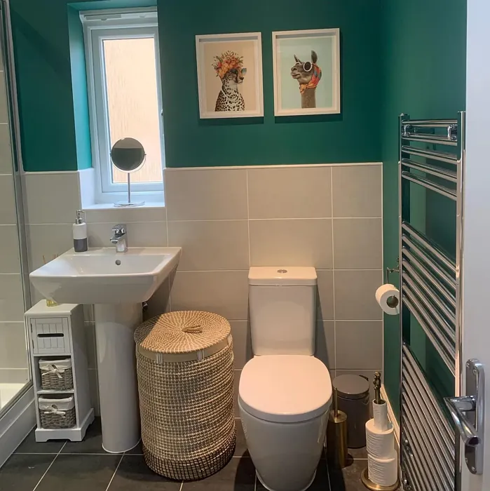 Dulux 49GG 17/232 bathroom 