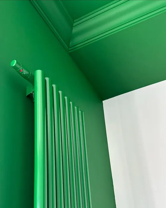 RAL 6001 wall paint color