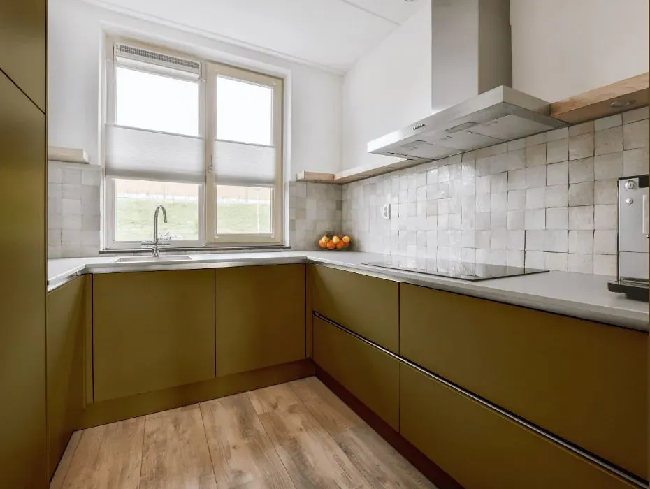 Sherwin Williams Eminent Bronze small kitchen cabinets