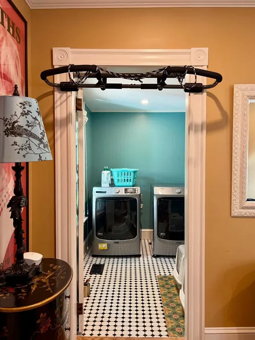 Sherwin Williams Empire Gold hallway color