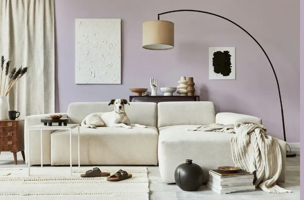 Sherwin Williams Enchant cozy living room