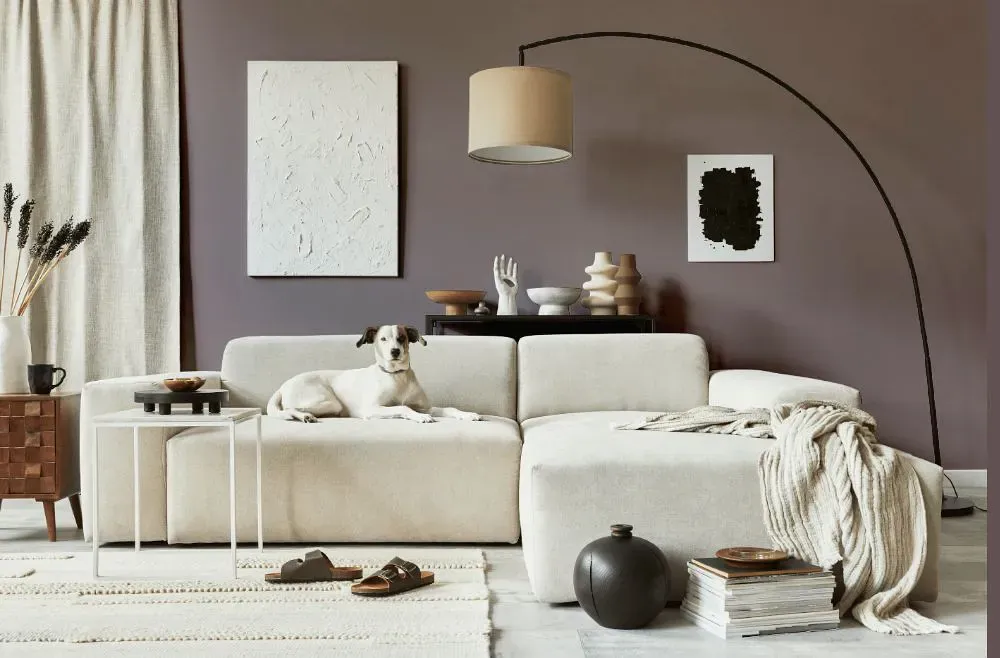 Sherwin Williams Enigma cozy living room