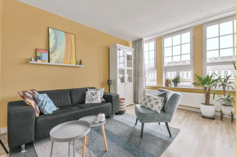 Sherwin Williams Enjoyable Yellow living room walls