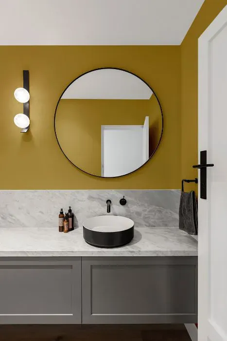 Sherwin Williams Escapade Gold minimalist bathroom