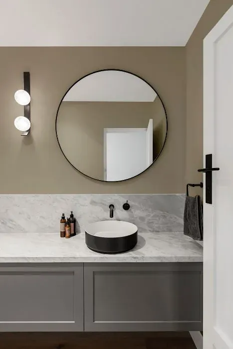 Sherwin Williams Ethereal Mood minimalist bathroom