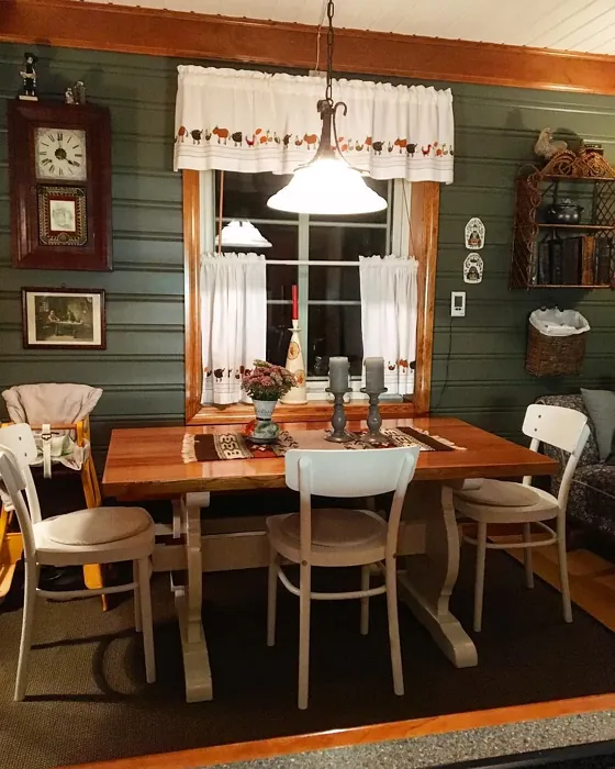 Jotun Evergreen dining room paint review