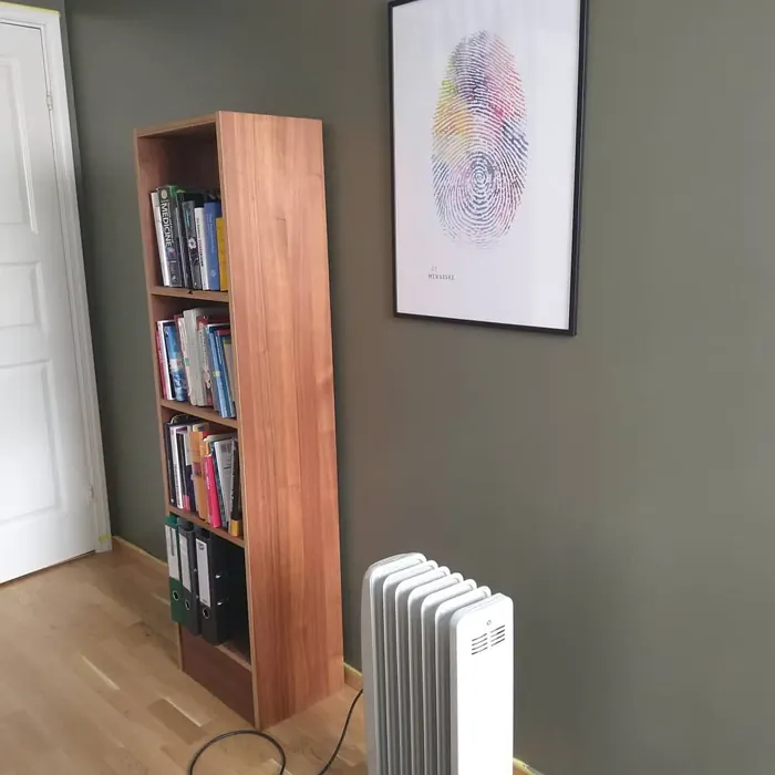 Jotun Evergreen living room review