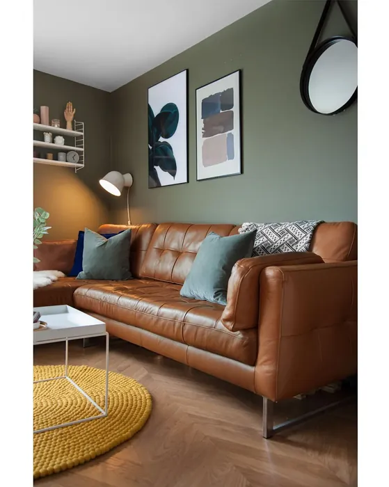 Jotun Evergreen scandinavian living room paint review