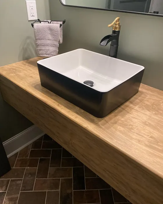 Sherwin Williams Evergreen Fog Bathroom