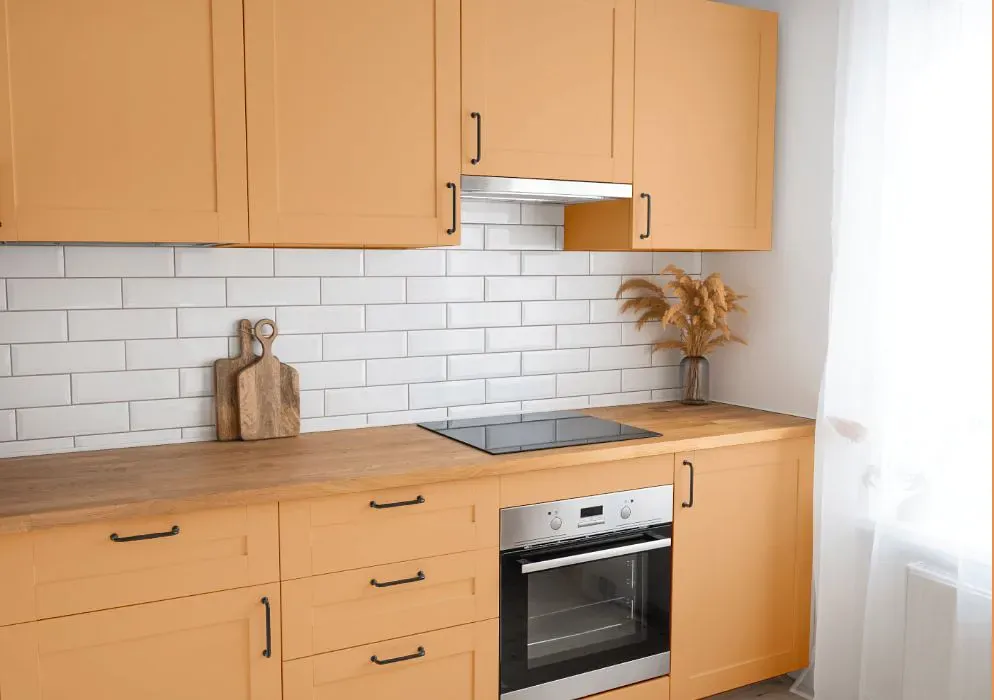 Sherwin Williams Exciting Orange kitchen cabinets
