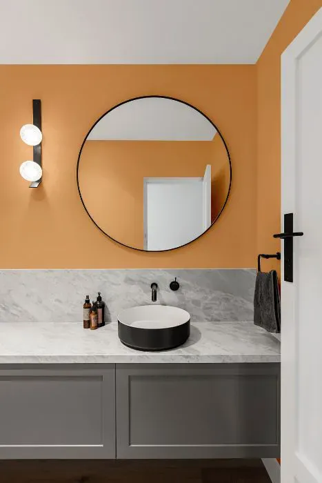 Sherwin Williams Exciting Orange minimalist bathroom