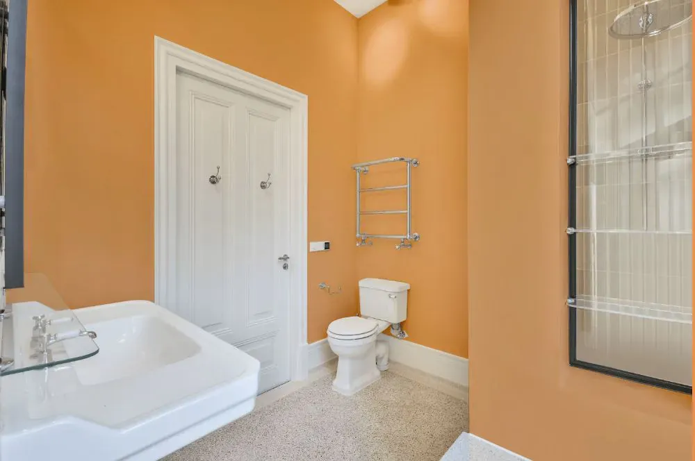 Sherwin Williams Exciting Orange bathroom