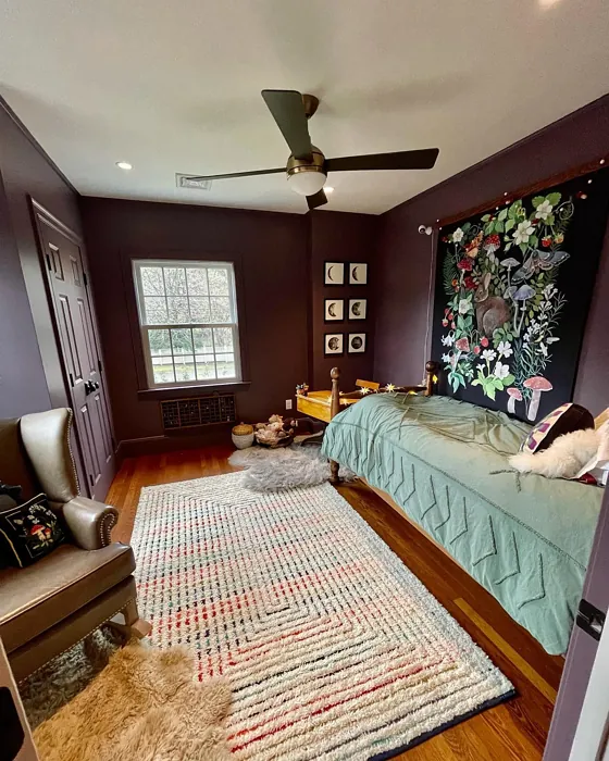 Expressive Plum kids' room color Expressive Plum kids' room color