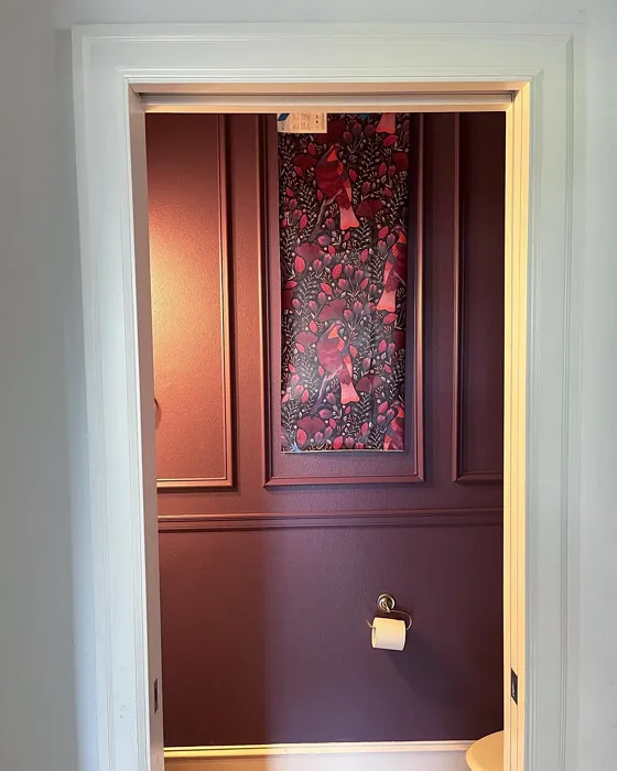 SW Expressive Plum bathroom color review SW Expressive Plum bathroom color review