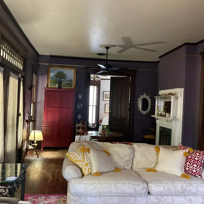 SW Expressive Plum living room paint review SW Expressive Plum living room paint review