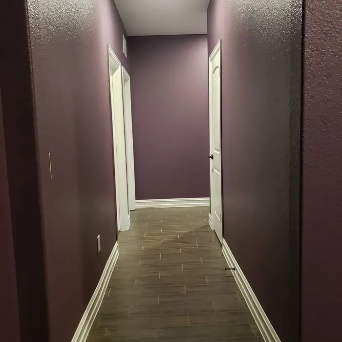 SW Expressive Plum hallway paint SW Expressive Plum hallway paint