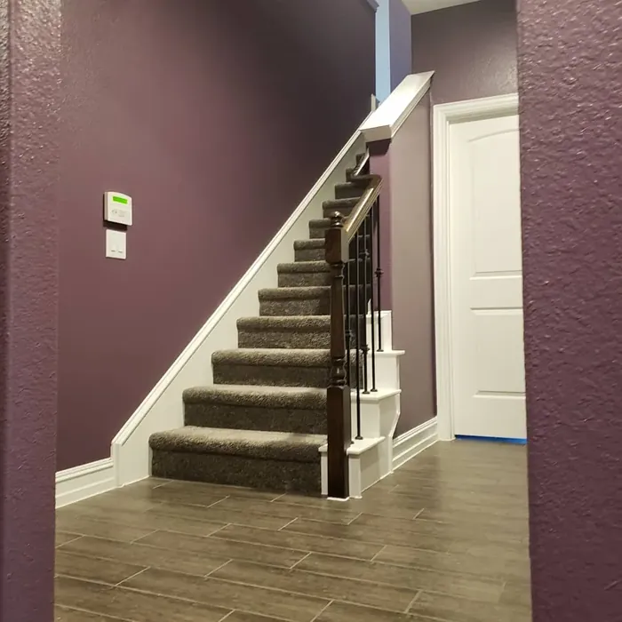 SW Expressive Plum living room photo SW Expressive Plum living room photo