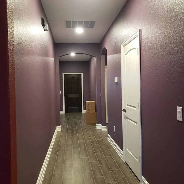 Sherwin Williams SW 6271 hallway color review Sherwin Williams SW 6271 hallway color review