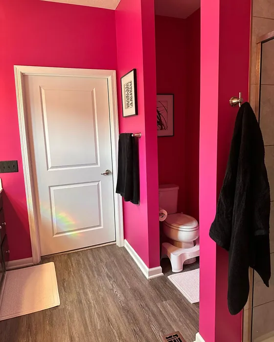 SW Exuberant Pink bathroom 