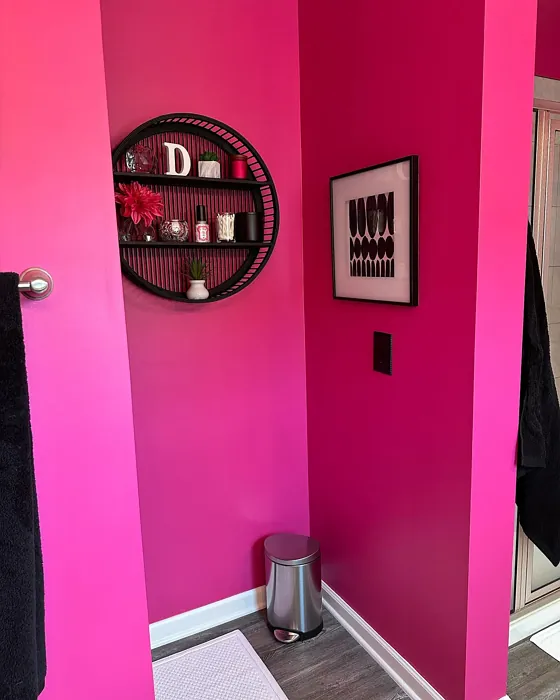SW Exuberant Pink bathroom color paint