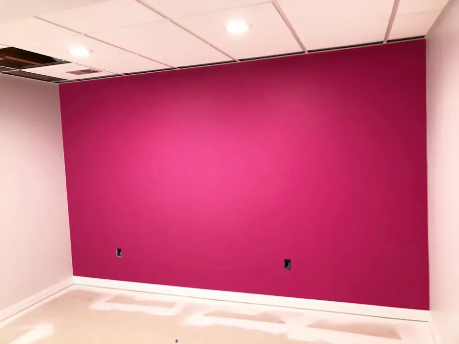 Sw Exuberant Pink Accent Wall