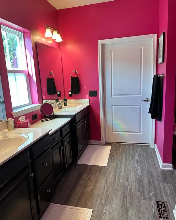 Sherwin Williams Exuberant Pink bathroom color review