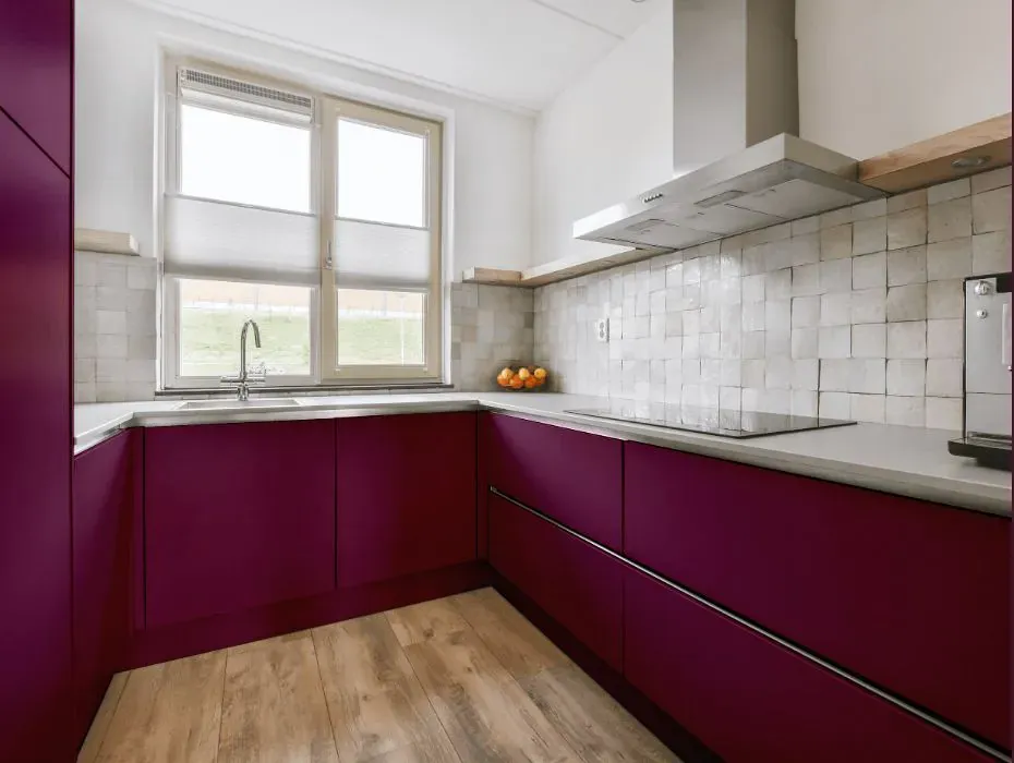 Sherwin Williams Fabulous Grape small kitchen cabinets