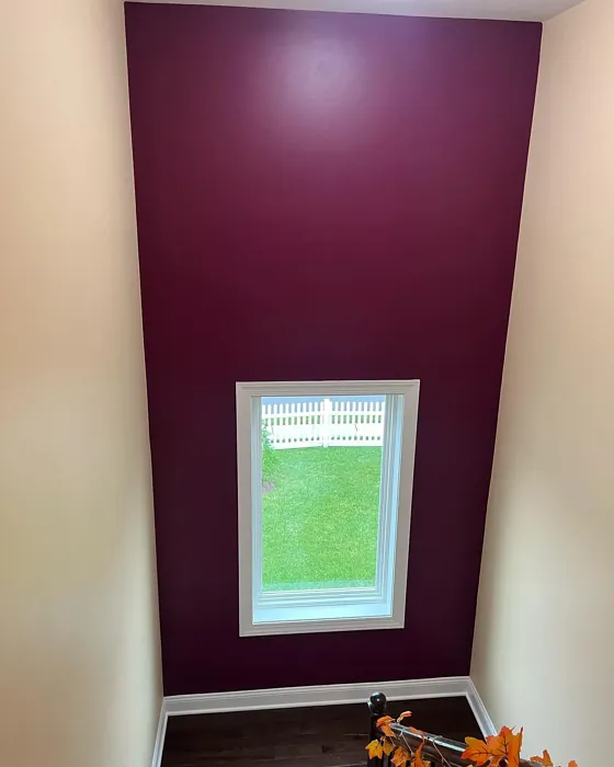 Sherwin Williams Fabulous Grape hallway paint